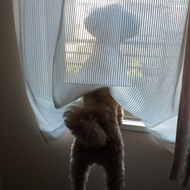 C611a550 602c 430c 9828 c3960f7d3e2f