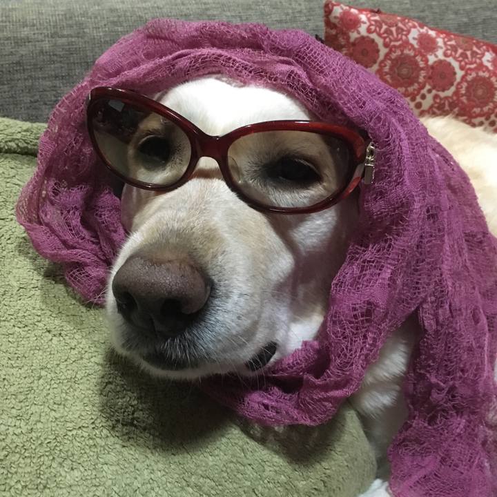 C611d495 a3b9 4efe 88da 3fcf482d2248