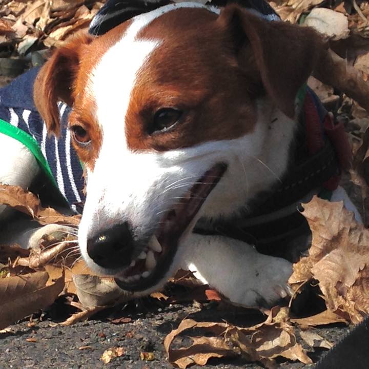 C612786f 1b8c 4c3e a161 bbedcc4a8774