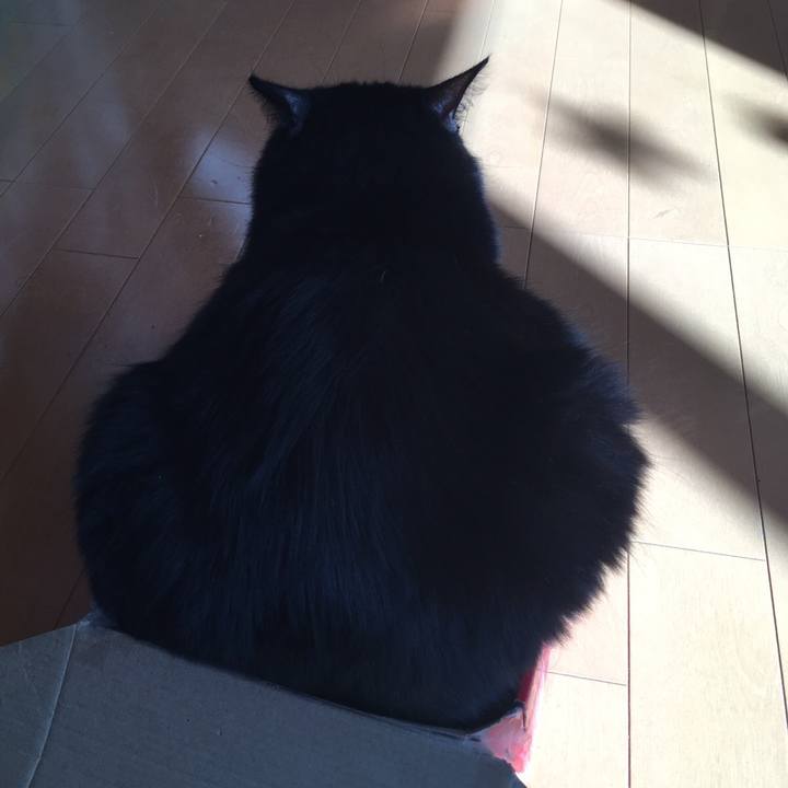 C612cb2e c015 4fe6 9236 e2f1c59c2dde