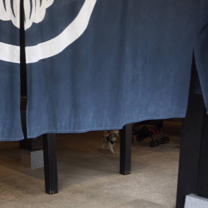 C612cc82 5747 4450 b174 12440ada3164