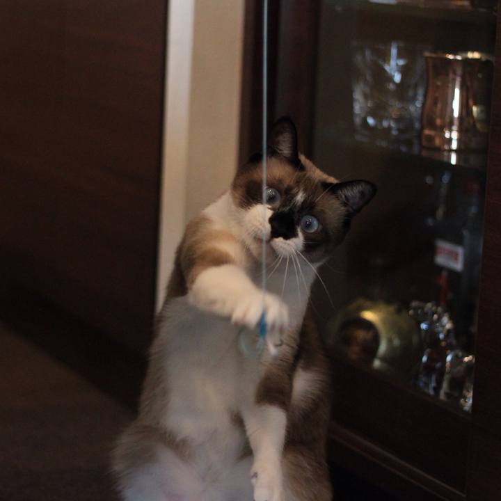 C613d8f8 de91 4f66 8d0e be564af8950a