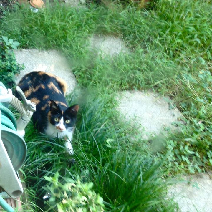 C613f42c 1f84 444f 8877 c6fb0a97f2b5