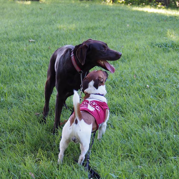 C61400ce a411 44a9 be34 1f9a0d43263e