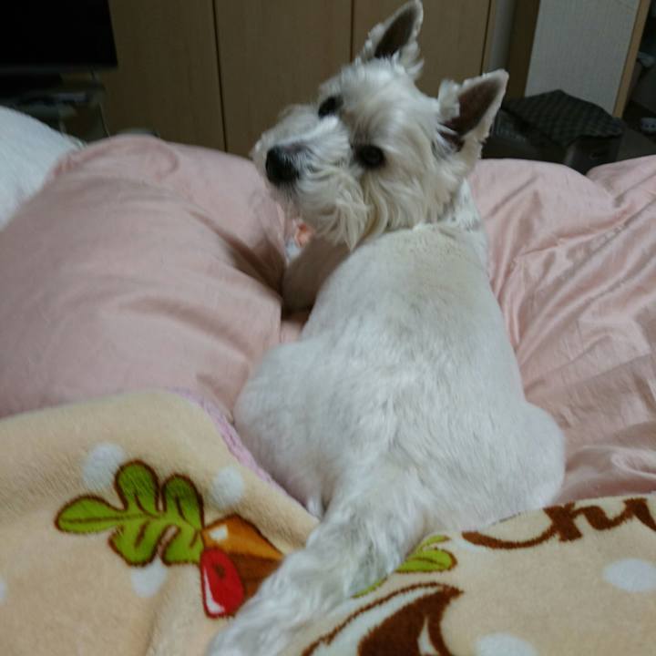 C614661d 70ff 47ca a162 ddf4a630d26f