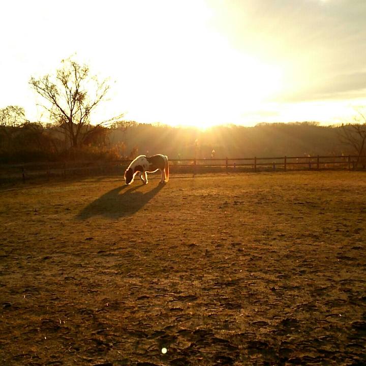 C614e790 eb90 4af5 9223 5f68a469fa7c