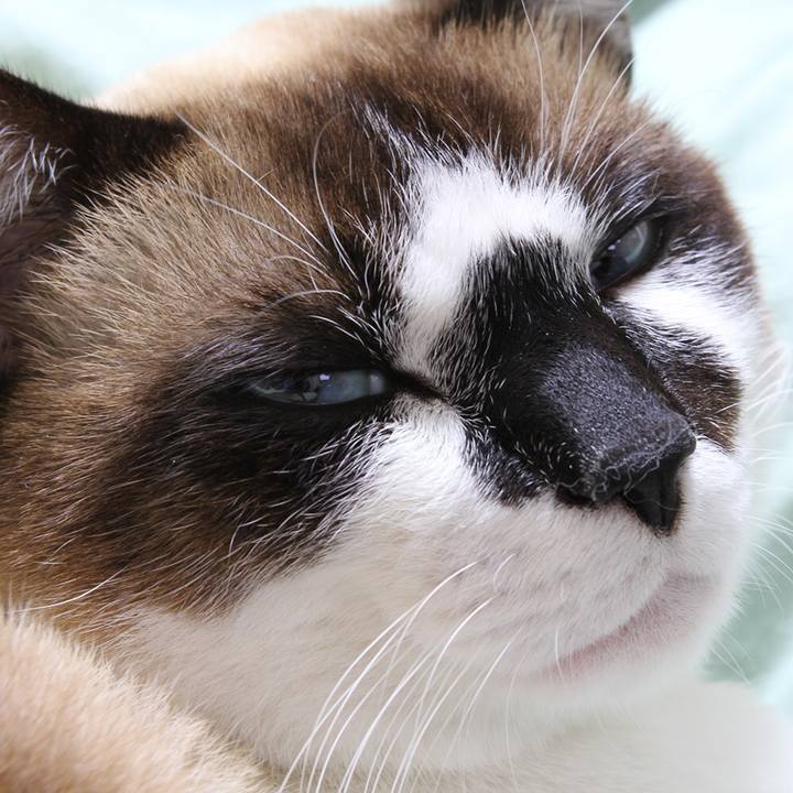 C6158285 a89b 4f81 871a 151ca09c6907