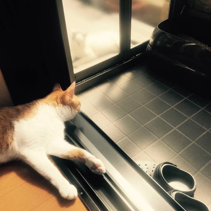 C615e22e 2d8e 493c ade1 330b1ecb47a5