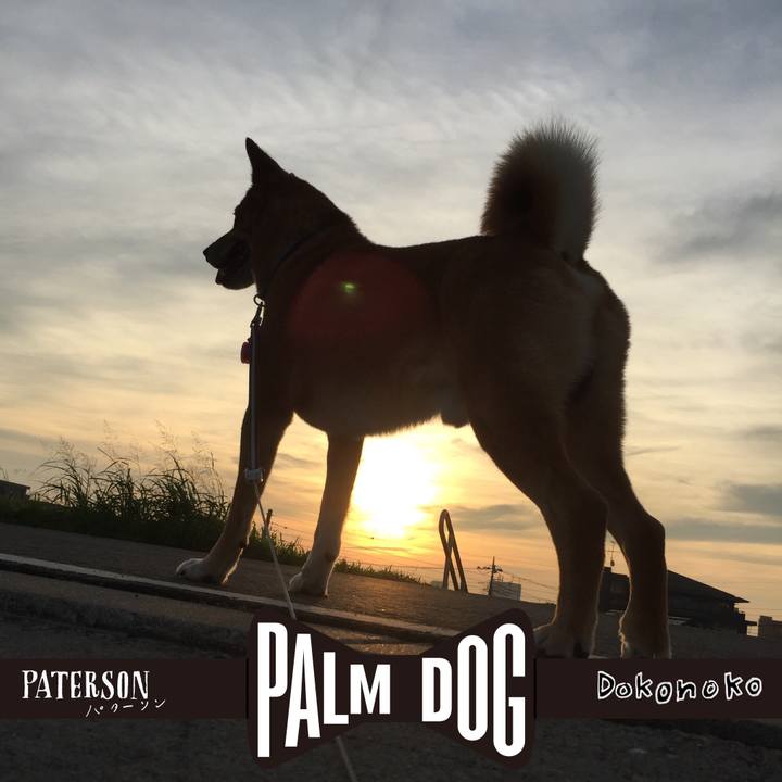 C6162c35 909e 4766 89e9 142b3e06d4c0