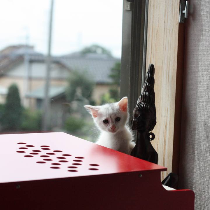 C616dbc3 2931 44c8 9ba6 754d005f135d