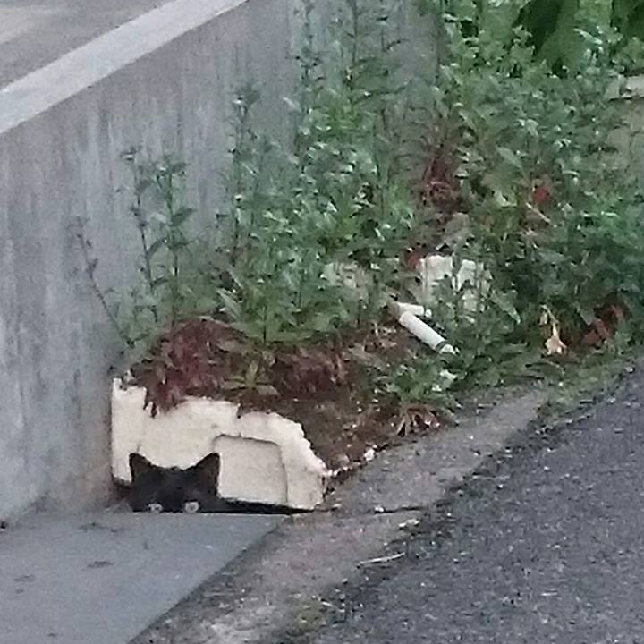 C617add0 e2ee 4dfa b214 7d5822e900b9