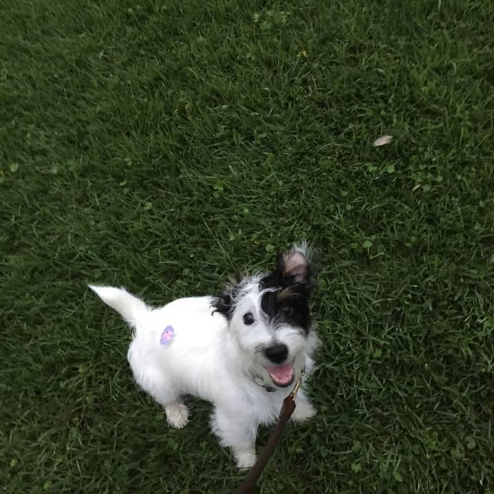 C6188dea 7956 40e2 8912 259bcca98d45