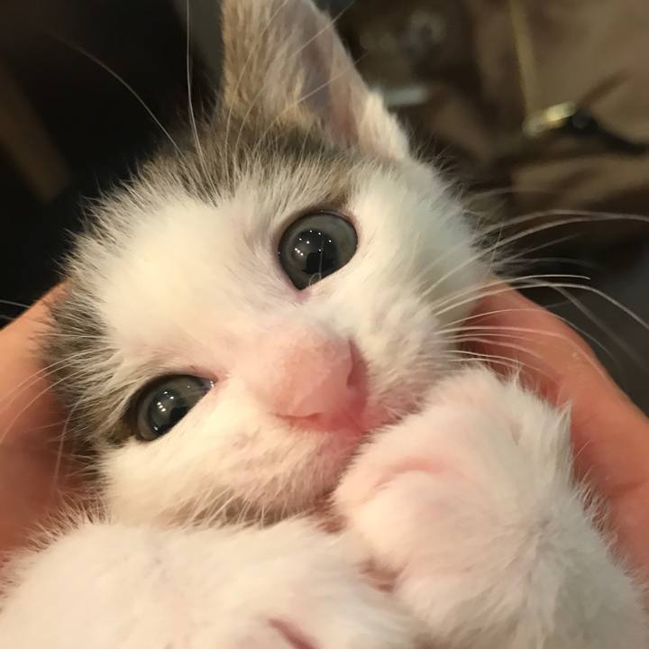 C618b6d9 6677 42f2 aabb 1ee2218b6022