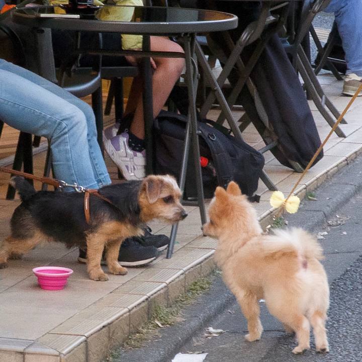 C619153e f26f 4854 abd4 2f095f1cba08