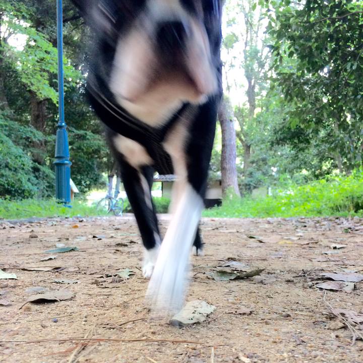 C61b1704 c273 4611 abe9 0a7214e7ecc3