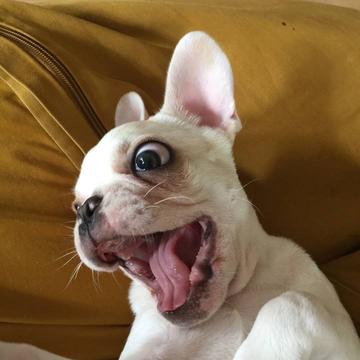 C61c1f1e 1b65 4bc0 ac03 08fc8a78c474