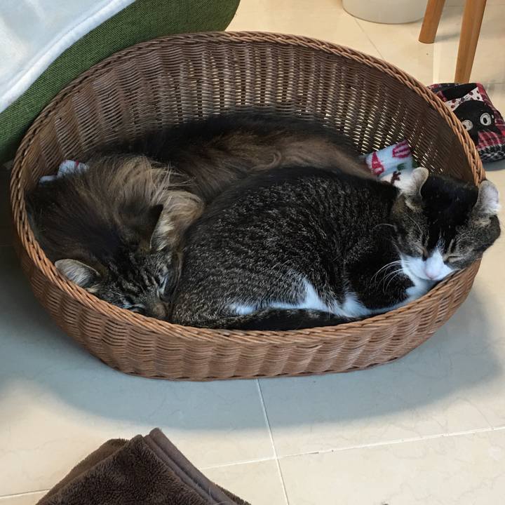 C61c6549 8396 4085 b120 fdc36c403c83