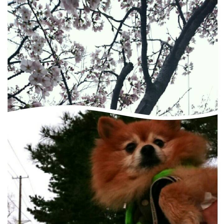 C61d5200 be8f 489a ac3d 7536b2c0f570