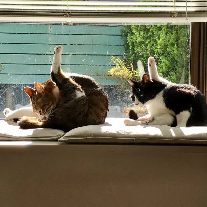 C61dec5a 10b1 49b7 8f39 e9cc827ddc52