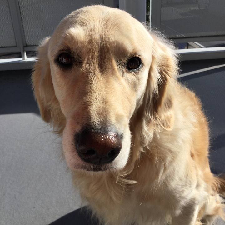 C61e34ed 1107 487d a824 2e8ebff90014