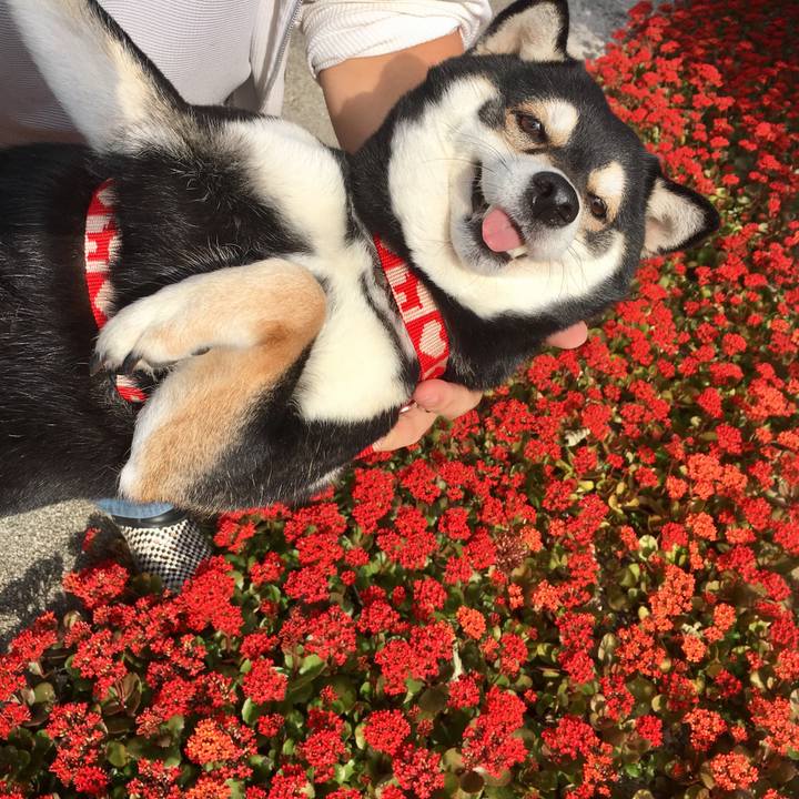 C61e38e3 bb5c 4e1e ad24 d8c37ca05ff9