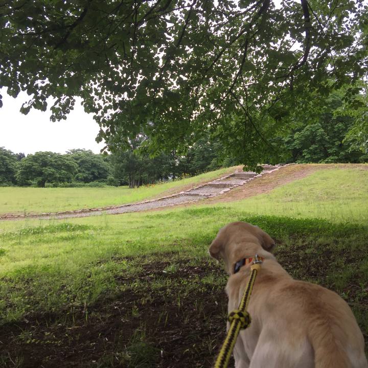 C61e4181 9473 42f0 b13c 3c471a484f0a