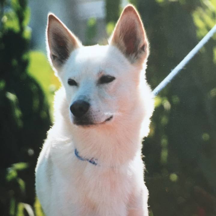 C61efac1 4f7b 46f4 ae40 ac828661c477