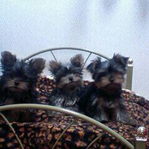 C61efb0e ece1 4e58 a5f9 68a9c95c6396