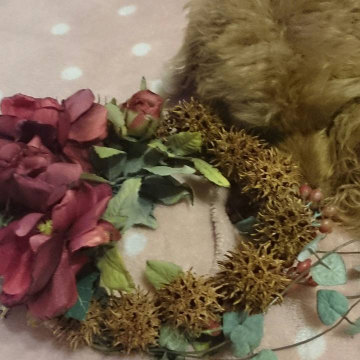 C61f3cfc 1cf7 436d abed 6d27fc830ac9