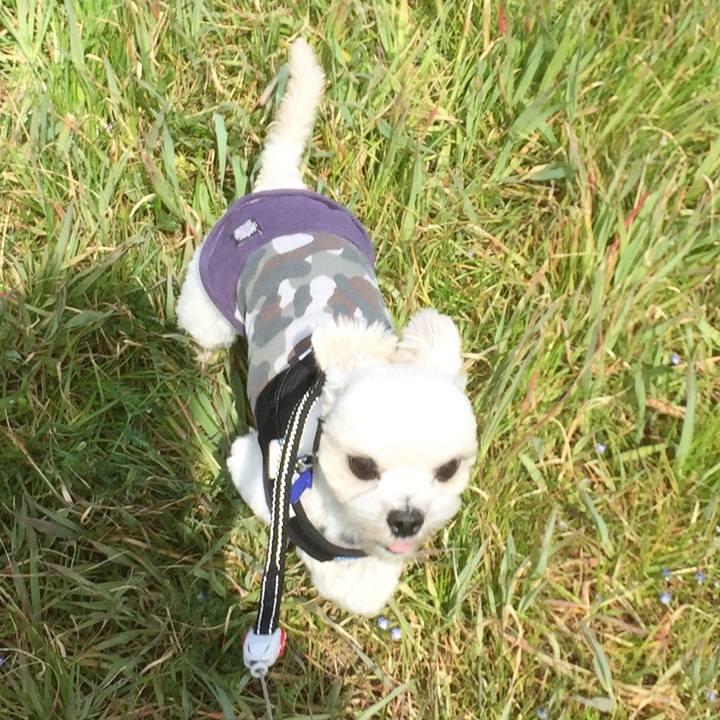 C61f44f5 30da 4ffb 9ed2 37ec1145b4e7