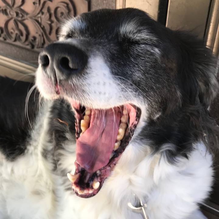 C61f4951 d153 410d b3ae 598dedcce7a1