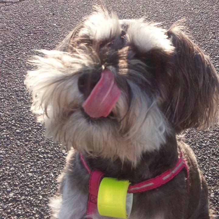 C61fa69f 46d0 4c48 9754 169938c487be