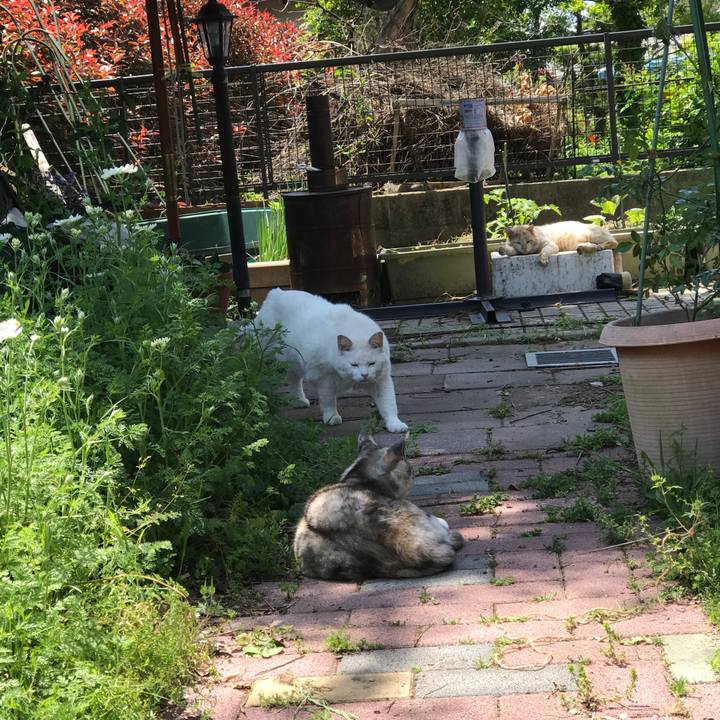 C61fb371 6d2b 466f 823f c68d2910e24c