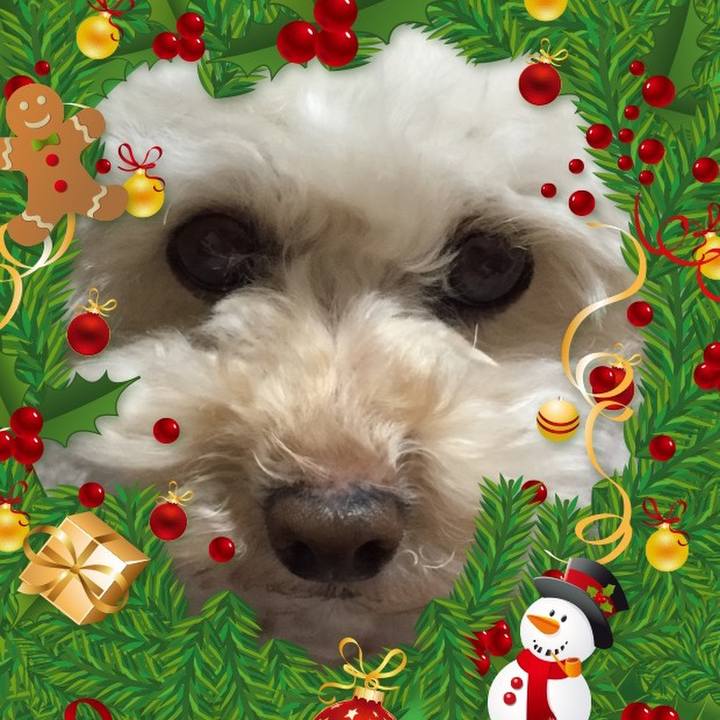 C61fde66 9d4f 4d44 97b4 3fc271994234