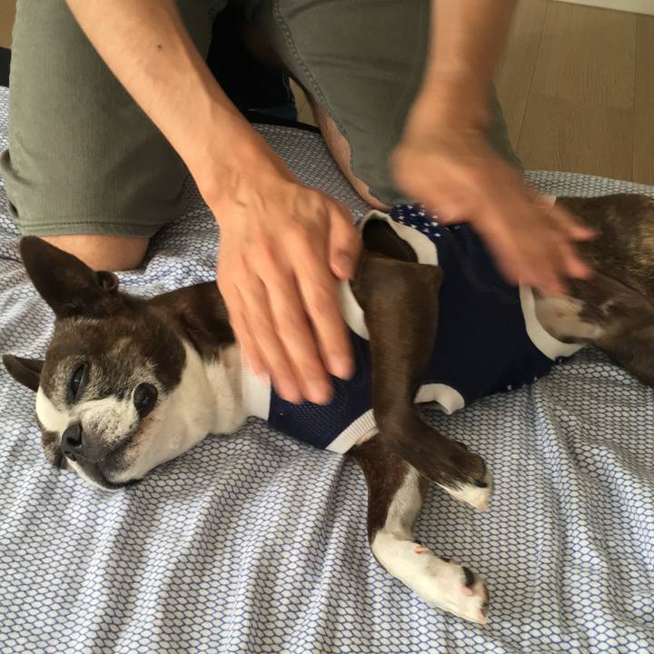 C6211864 d574 4422 826a a38cdd562d3b