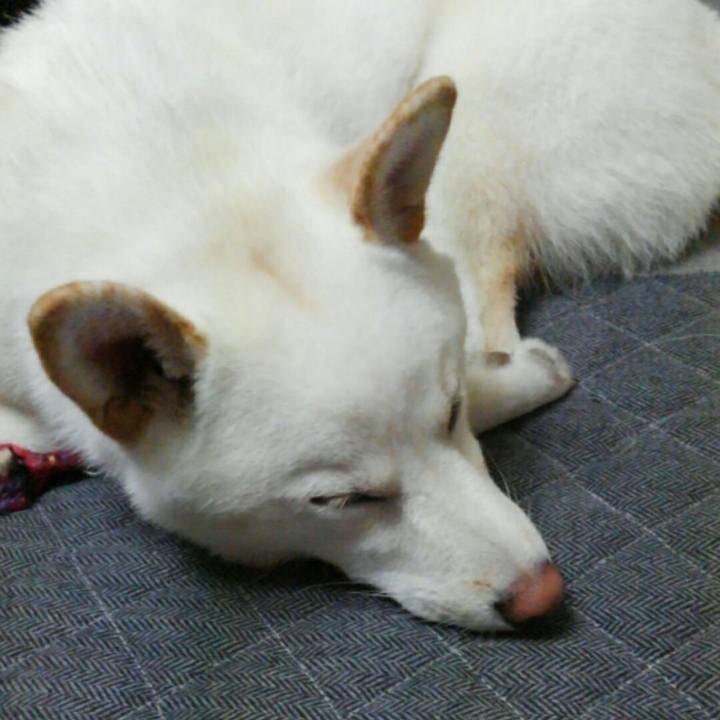 C6224ce1 b234 4e6e bb35 ec5b657b1bad