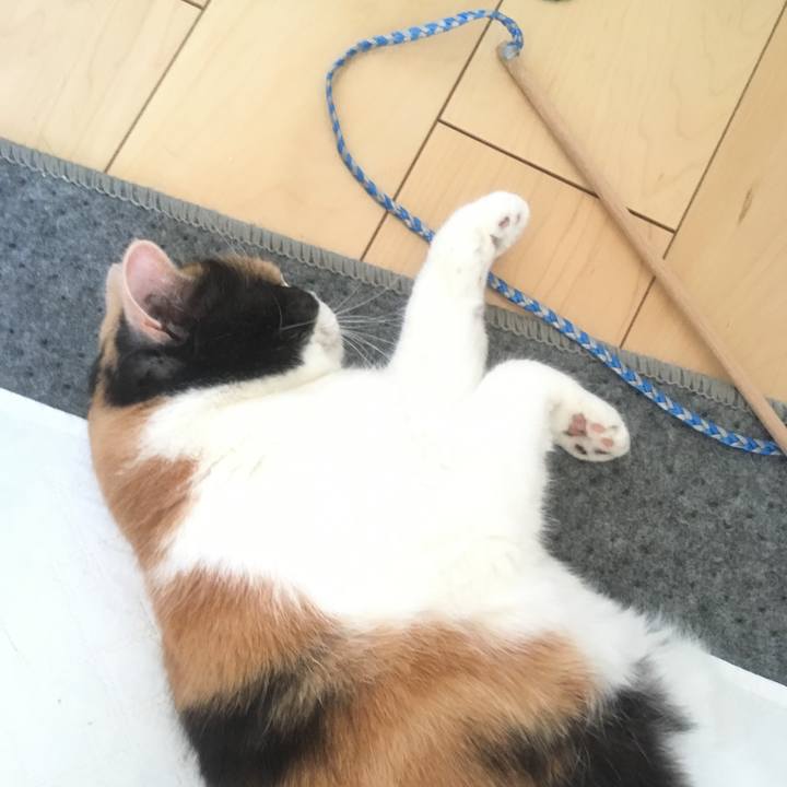 C6228df0 1dca 4950 81c5 0798ea8bc31a