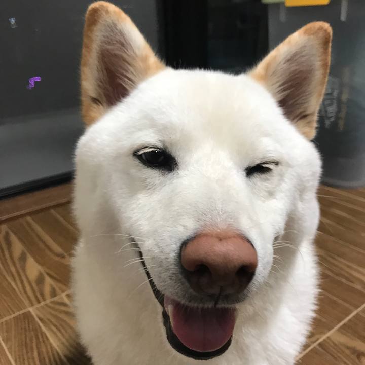 C622b4d3 d00c 4a72 b258 436060fc55b9