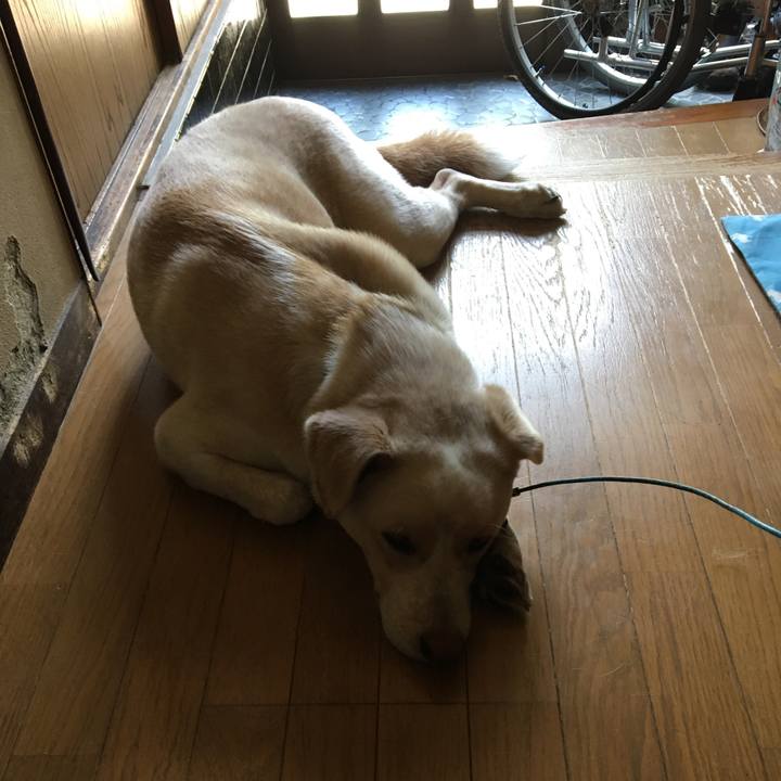 C622bb63 6dc7 472f a390 1df8429f31ab