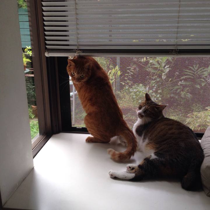 C622bb81 8b89 4ce3 94b0 64ff6fbf738b