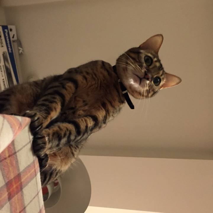 C6230a02 36d2 470d 8e1f c912fc211afb