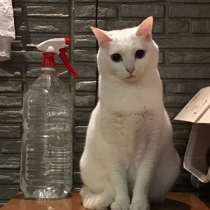 C6241fb8 97f2 4b87 9cc5 d8d30ab500d3