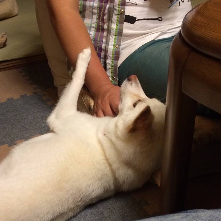 C6243456 25fc 4346 87dd bb05e38cd78f