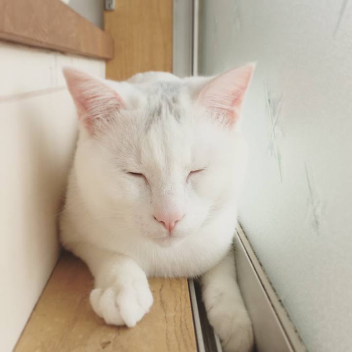 C6244f9d 2ccf 4d7f 9293 91356a951246