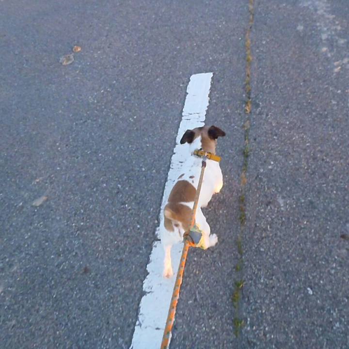 C624501d 6667 42a5 ac36 c737051f8021