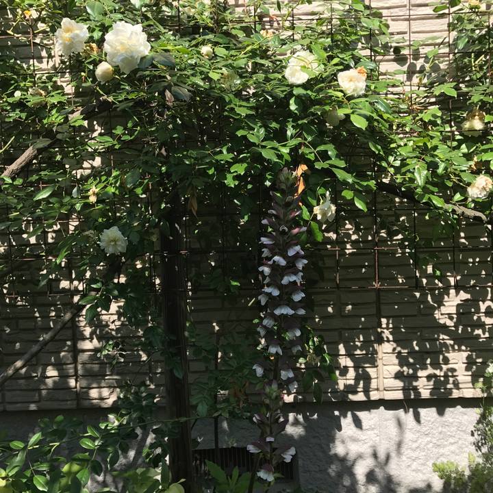 C624c615 bf8e 493f aee7 d06c4225847e