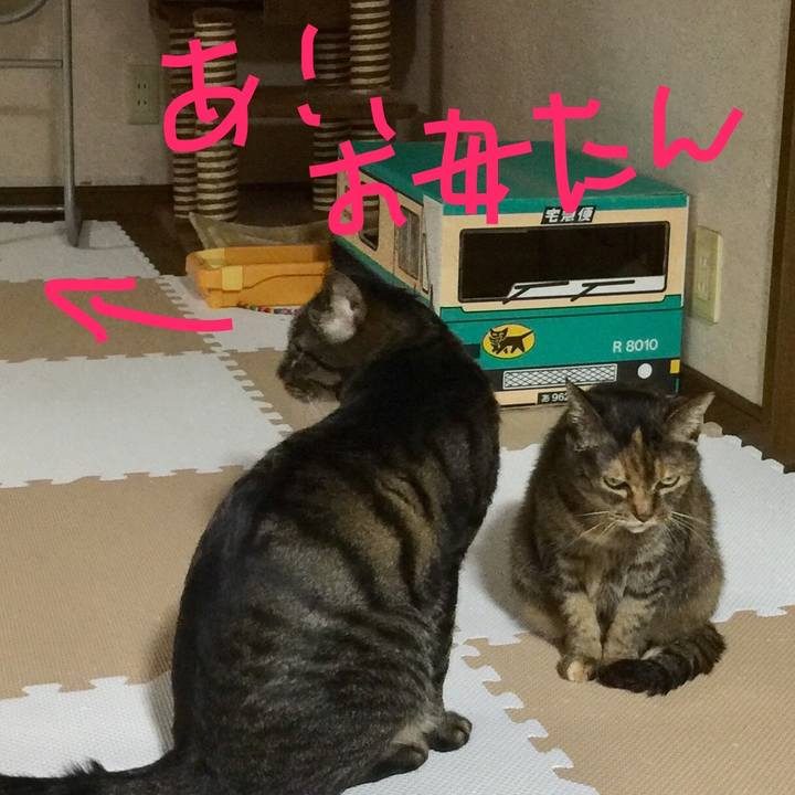 C6252f9e 1534 4911 ad22 2357f92bead2