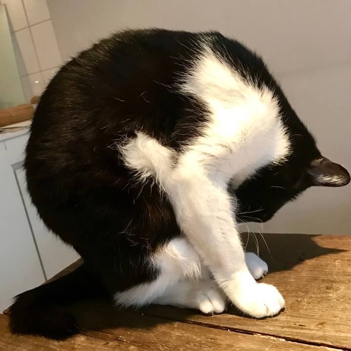 C6258355 8f2f 4b5c aad8 eff9c495e2b2