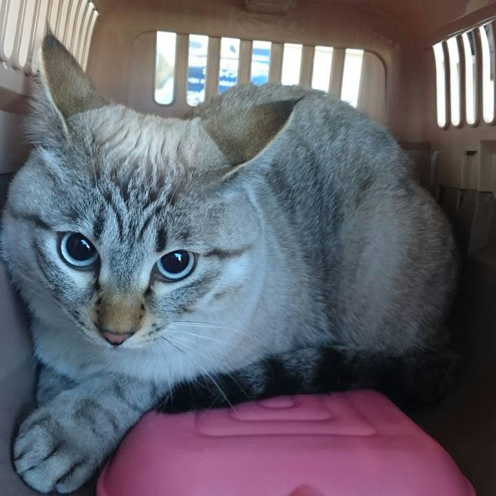 C627581e fe10 4780 a6fc eb8842e5132d