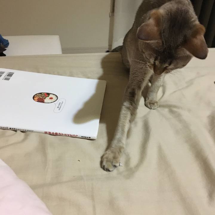 C6276416 b69b 4a14 a264 ef769f05716f